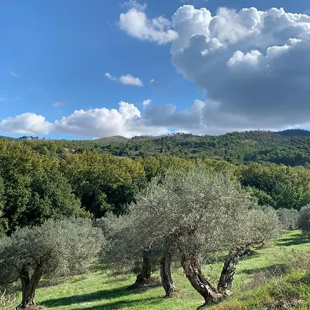 Farm stay Santa Margherita Chiaramonte Gulfi