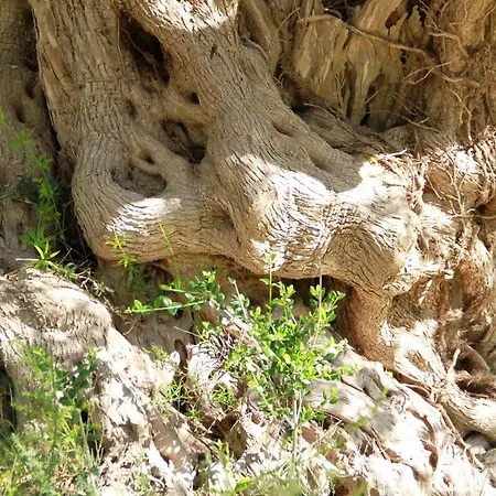 Vakantieboerderij Santa Margherita *