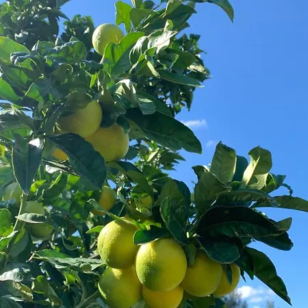 Santa Margherita Vakantieboerderij Chiaramonte Gulfi