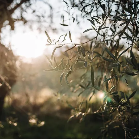 Santa Margherita Farm stay