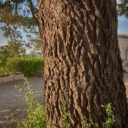 Santa Margherita Chiaramonte Gulfi