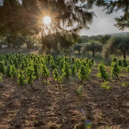 Santa Margherita Chiaramonte Gulfi